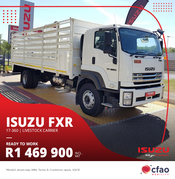 Isuzu FXR